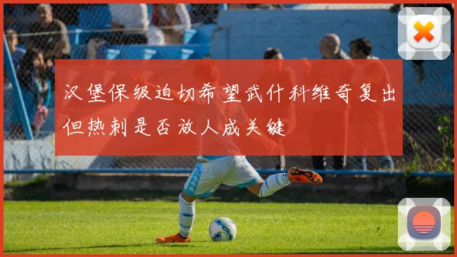 汉堡保级迫切希望武什科维奇复出但热刺是否放人成关键