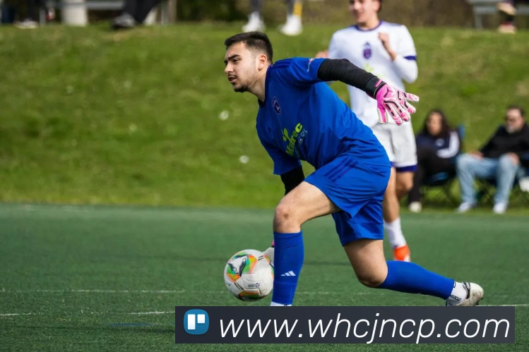 多媒体互动体验